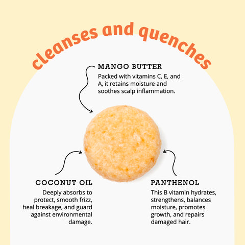 Mighty Mango Moisturizing Shampoo Bar