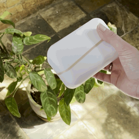Plastic-Free Travel Soap Keeper